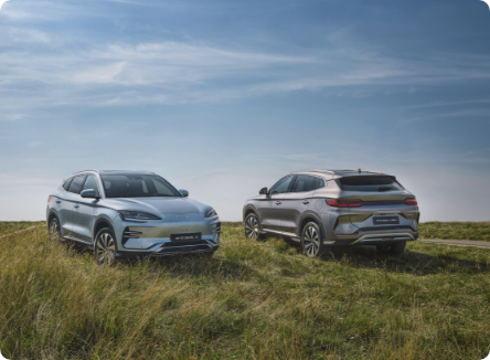 More - Διαμορφώστε το νέο σας BYD