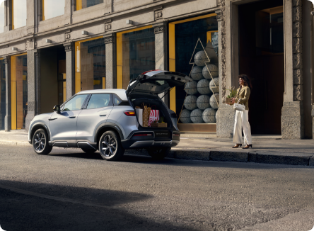 More - Διαμορφώστε το νέο σας BYD